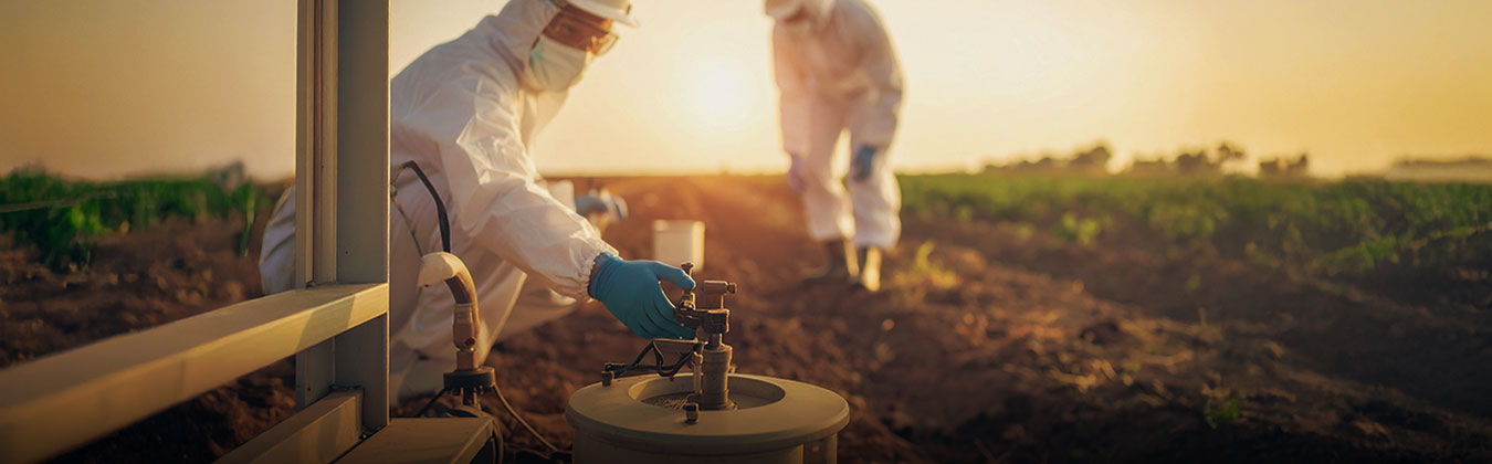 Research & Development (R&D) Services